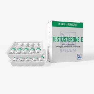 Testosterone E amp. 10амп 250мг/мл Regain